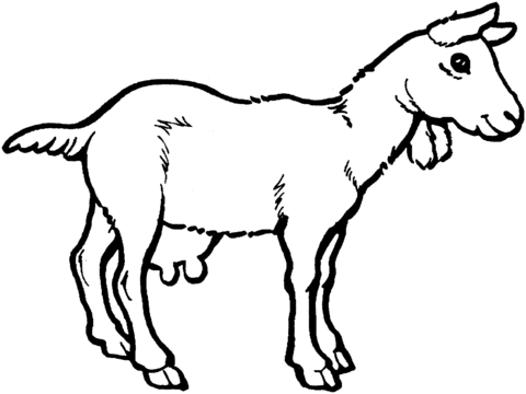 Nanny Goat Coloring Page